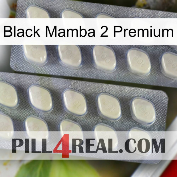 Black Mamba 2 Premium 07.jpg